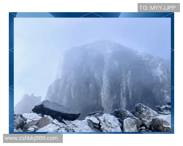 杨伟独家分享攀岩技巧与心得助你轻松征服高峰